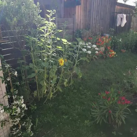 Lägenhet Standing, Calm & Confort. *