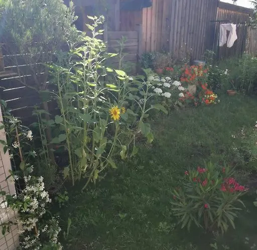 Apartment Standing, Calm & Confort. *